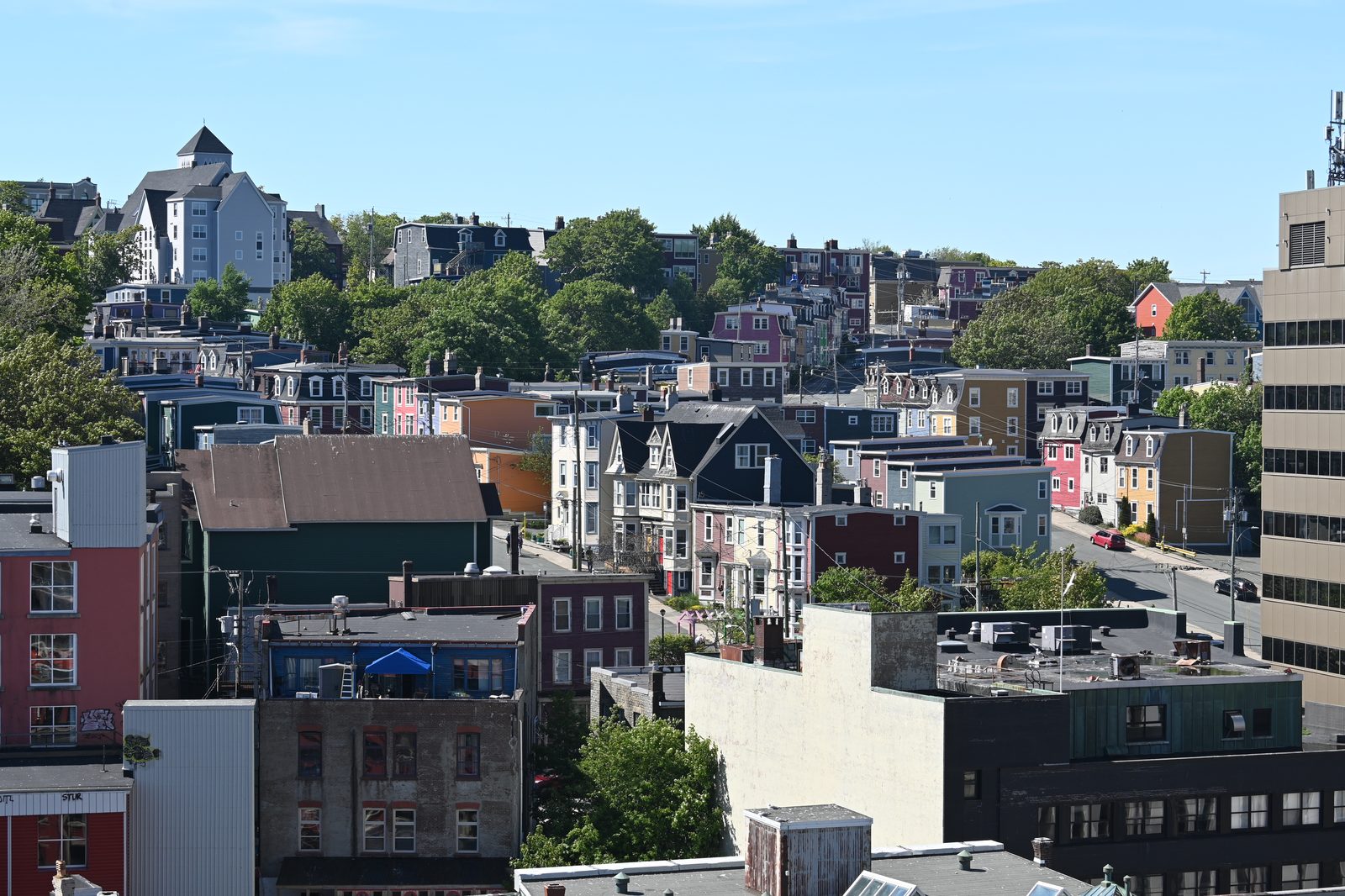 DSC_6725.JPG